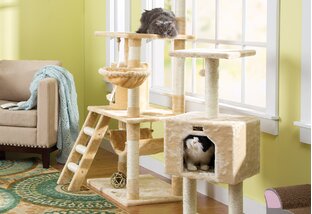 Perch & Play: Cat Trees & More