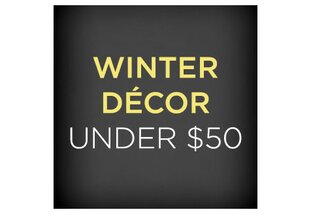 Winter Decor Under $50