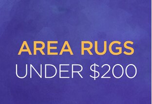 Area Rugs Under $200