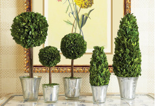 Buy Lifelike Plants & Trees from $20!
