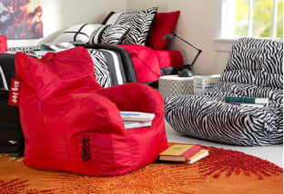 Buy Bean Bag Chairs Under $50!