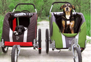 Buy The Pampered Pet: Strollers & More!
