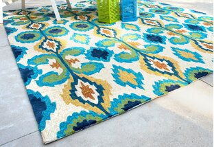 Buy Rugs for Indoors & Out!