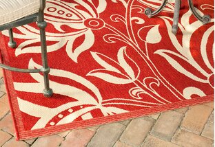 Buy Safavieh Rug Clearance!