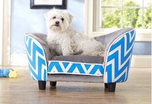 Buy Two Paws Up: Pet Furniture & More!