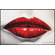 Propac Images Pucker Up Framed Art
