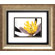 Propac Images White Poccoon I / II Wall Art (Set of 2)
