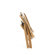 Kingsley Bate St.Tropez Dining Arm Chair