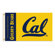 BSI Products NCAA Traditional Flag