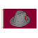 BSI Products NCAA Traditional Flag