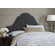 Skyline Furniture Plain High Arch Upholstered Headboard