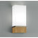 ILEX Lighting Cube Wide Wall Sconce