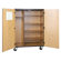 Ironwood 2000 Series Teacher's Storage Mobile Cabinet