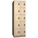 Ironwood Solid Melamine Door Music Storage: 10 Compartments