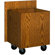 Ironwood Library 3000 Depressible Book Truck