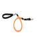 Bergan Pet Products Low Impact Dog Leash