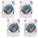 Great American Products NFL Open Field 4 Piece Square Shot Glass Set