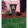 The Party Animal, Inc NCAA Garden Pennant