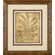 Phoenix Galleries Sepia Ferns 1 Framed Print