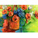Phoenix Galleries Watering Can on Canvas