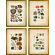 Phoenix Galleries Minerals Large Framed Prints