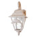 Melissa Lighting Americana Dolphin Series 18" Wall Lantern