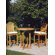 Barlow Tyrie Teak Monaco Carver Dining Arm Chair with Cushion