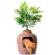 Good Pet Stuff Co. Hidden Litter Box