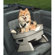 Good Pet Stuff Co. Travelin' Dog Pet Seat