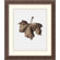 Amanti Art Norway Maple Framed Art Print by Alan Blaustein
