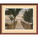 Amanti Art Palm Promenade (c. 2004) by Diane Romanello, Framed Print Art - 17.47" x 21.47"