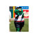 Artissimo Designs MLB Mascot Canvas Art