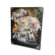 Artissimo Designs MLB Vintage Jersey Collage Canvas Wall Art
