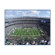 Artissimo Designs NFL Stadium Canvas Art