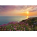 Brewster Home Fashions Komar Land's End Wall Mural