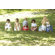 BabyBjorn Potty Chair