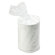 Dixie Uncoated Paper Plates in White