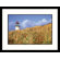 Great American Picture Long Beach Light Framed Photograph - Mike Hipple