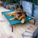 Coolaroo Elevated Indoor/Outdoor Pet Cot for Large Breeds