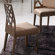 Gold Sparrow Amelia Side Chair (Set of 2)