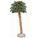General Foam Plastics 72" Prelit Palm Tree with 150 Clear Lights