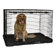 Pet Gear Travel Lite Steel Dog Crate