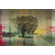 Parvez Taj Heart Break Wall Art