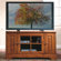 Riverside Furniture Visions 48" TV Stand
