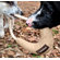 ABO Gear Boomering Dog Toy