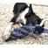 ABO Gear Dummy Dog Toy