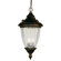 Z-Lite Waterloo Outdoor Chain Light