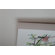 Luca and Company Artwork-123 Birds
