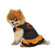 Max's Closet Ruffled Halloween Pumpkin Dog Dress