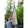 Duck Covers Umbrella Cover with Installation Wand